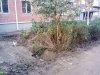 "Благоустройство" дворов на улице Тургенева в Краснодаре