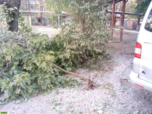 "Благоустройство" дворов на улице Тургенева в Краснодаре