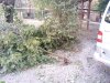 "Благоустройство" дворов на улице Тургенева в Краснодаре