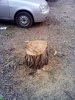 "Благоустройство" дворов на улице Тургенева в Краснодаре