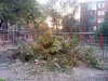 "Благоустройство" дворов на улице Тургенева в Краснодаре