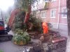 "Благоустройство" дворов на улице Тургенева в Краснодаре