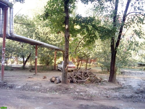 "Благоустройство" дворов на улице Тургенева в Краснодаре