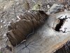 Инспекция участка, самовольно захваченного ООО "Аксис инвестиции" в Геленджике