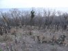 Инспекция участка, самовольно захваченного ООО "Аксис инвестиции" в Геленджике