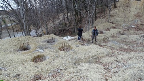 Инспекция участка, самовольно захваченного ООО "Аксис инвестиции" в Геленджике
