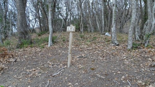 Инспекция участка, самовольно захваченного ООО "Аксис инвестиции" в Геленджике