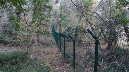 Инспекция участка, самовольно захваченного ООО "Аксис инвестиции" в Геленджике