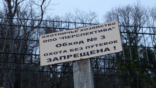 Инспекция участка, самовольно захваченного ООО "Аксис инвестиции" в Геленджике