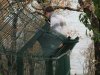 Инспекция участка, самовольно захваченного ООО "Аксис инвестиции" в Геленджике