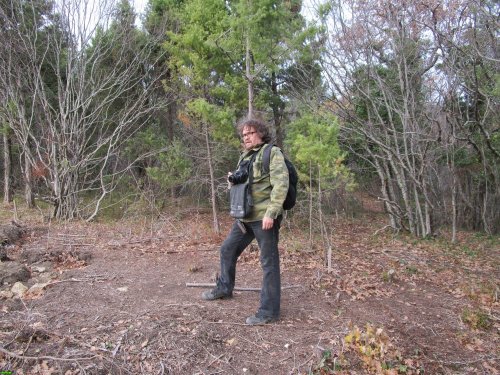 Инспекция участка, самовольно захваченного ООО "Аксис инвестиции" в Геленджике