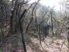 Территория огорожена зелёным забором