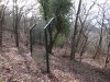 Забор не замыкается и обрывается в лесу