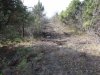 На территории, которую "осваивает" АО "Аксис инвестиции" повсюду прорублены незаконные дороги