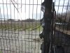Виноградники АО "Аксис инвестиции" за забором