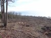 Самая крупная из вырубленных площадок на территории, которую "осваивает" АО "Аксис инвестиции"