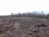 Крупнейшая выбленная площадка на территории лесного фонда, которую "осваивает" АО "Аксис инвестиции"