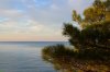Виды моря и дикой природы. Завтрак на рассвете перед инспекцией