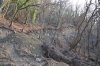 Уродование естественного ландшафта на территории, которую "осваивает" АО "Аксис инвестиции"