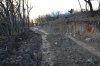 Одна из незаконных дорог на территории объектов АО "Аксис инвестиции"