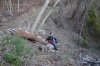 Привал во время утомительной инспекции