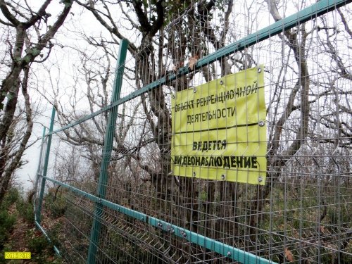 Криница. В дополнение к незаконно установленному в лесу забору "Эксим-М" охраняет арендованную территорию с помощью видеокамер