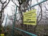 Криница. В дополнение к незаконно установленному в лесу забору "Эксим-М" охраняет арендованную территорию с помощью видеокамер