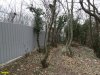 Криница. Предприниматель Сергей Цыбулин незаконно огородил участок леса