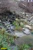 Краснодар. Старица Кубани. Очередной канализационный сток