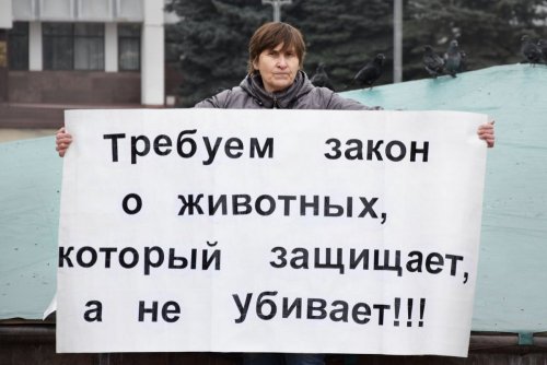 "Живая линия" в Майкопе за закон о защите животных 24 февраля 2018г.