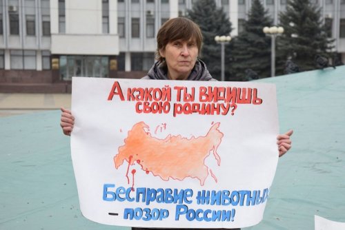 "Живая линия" в Майкопе за закон о защите животных 24 февраля 2018г.