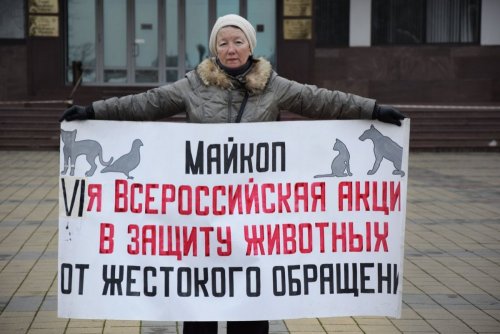 "Живая линия" в Майкопе за закон о защите животных 24 февраля 2018г.
