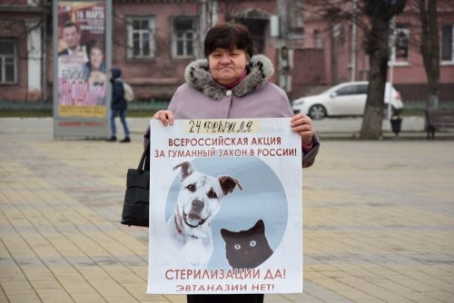 "Живая линия" в Майкопе за закон о защите животных 24 февраля 2018г.