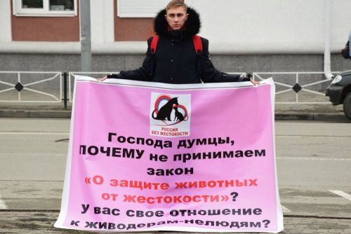 "Живая линия" в Майкопе за закон о защите животных 24 февраля 2018г.