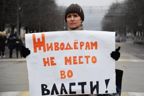 "Живая линия" в Майкопе за закон о защите животных 24 февраля 2018г.