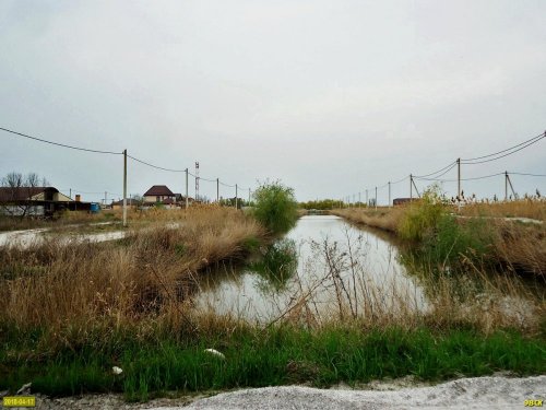 Замор рыбы в Кирпильских лиманах