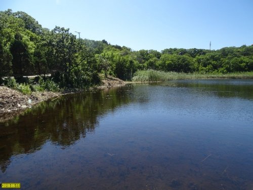 Безжизненные воды "зачищенного" озера Романтики