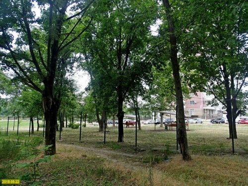 Сквер Тенистый в Краснодаре