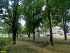 Сквер Тенистый в Краснодаре