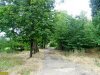 Сквер Тенистый в Краснодаре