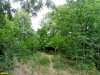 Сквер Тенистый в Краснодаре