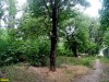 Сквер Тенистый в Краснодаре