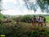 Жители дежурят на месте вырубки, чтобы не допустить ее возобновления