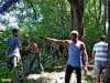 Порубщики уничтожают лесополосу