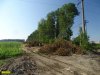 Отсюда начиналась вырубка лесополосы возле хутора Ленина