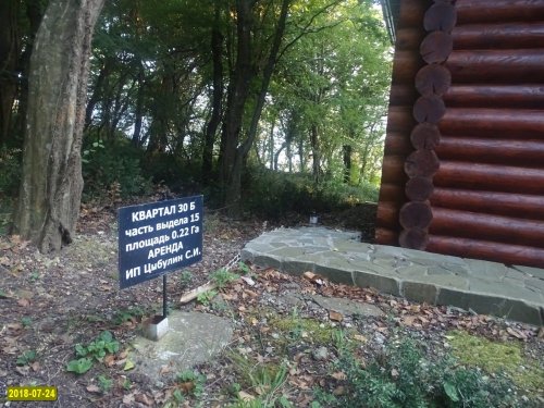 Криница. Маркировка, говорящая об аренде лесного участка