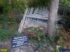 Криница. Демонтированные секции забора образовали свалку в лесу рядом с арендованным Цыбулиным участком
