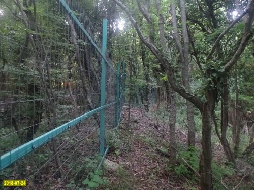 Заборы, построенные ООО "Эксим-М" в лесу возле Криницы, вопреки официальным ответам МПР Кубани стоят на месте