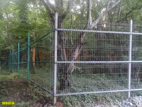 Заборы, построенные ООО "Эксим-М" в лесу возле Криницы, вопреки официальным ответам МПР Кубани стоят на месте