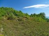 Лесная территория между Джубгой и Лермонтовкой, проданная в целях застройки семье Метлиных